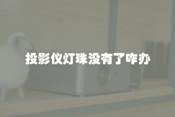 投影仪灯珠没有了咋办