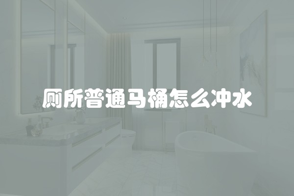 厕所普通马桶怎么冲水