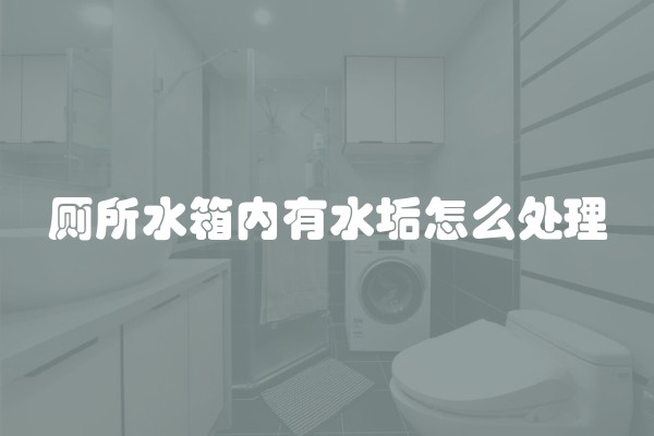 厕所水箱内有水垢怎么处理