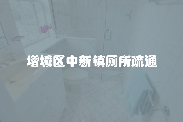 增城区中新镇厕所疏通