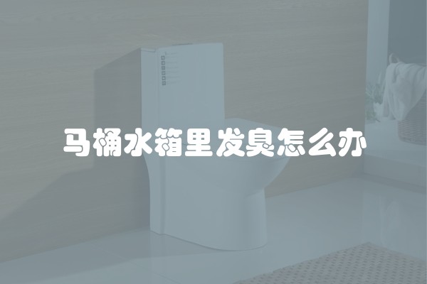 马桶水箱里发臭怎么办