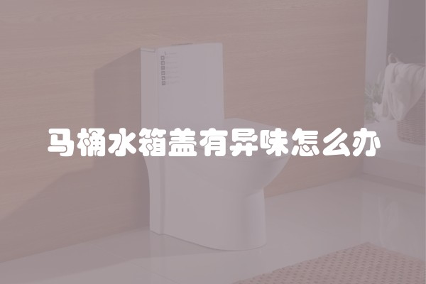 马桶水箱盖有异味怎么办