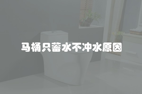 马桶只蓄水不冲水原因