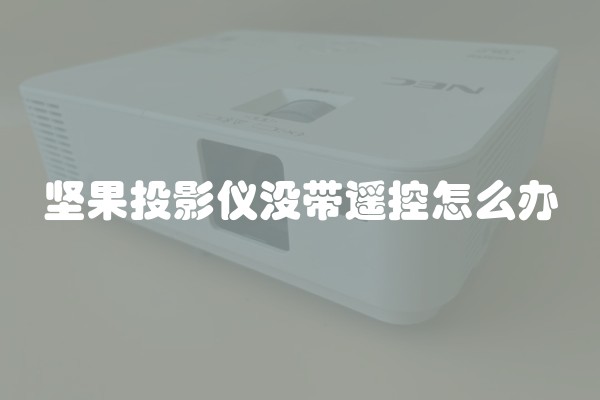 坚果投影仪没带遥控怎么办