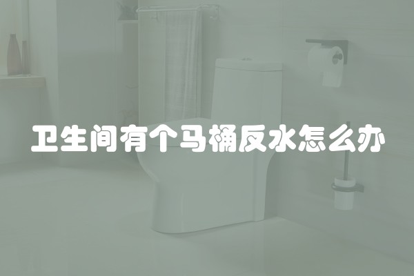 卫生间有个马桶反水怎么办