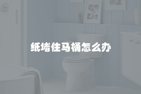 纸堵住马桶怎么办