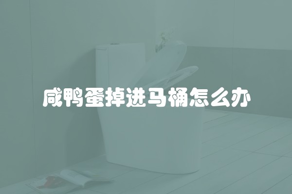 咸鸭蛋掉进马桶怎么办