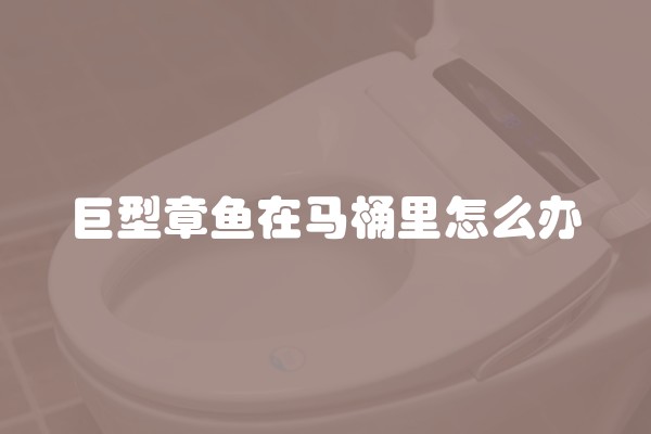 巨型章鱼在马桶里怎么办