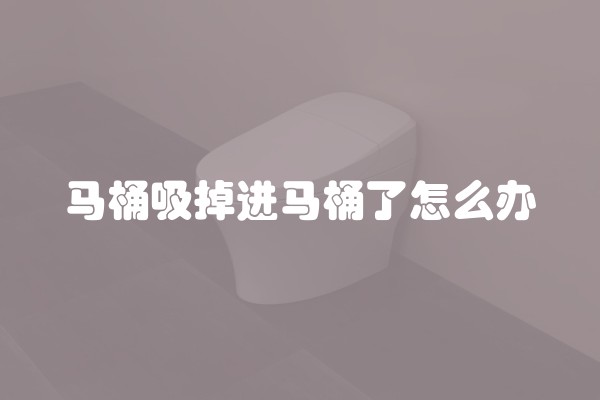 马桶吸掉进马桶了怎么办