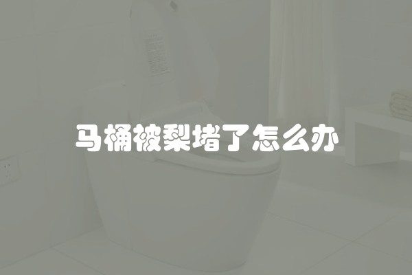 马桶被梨堵了怎么办