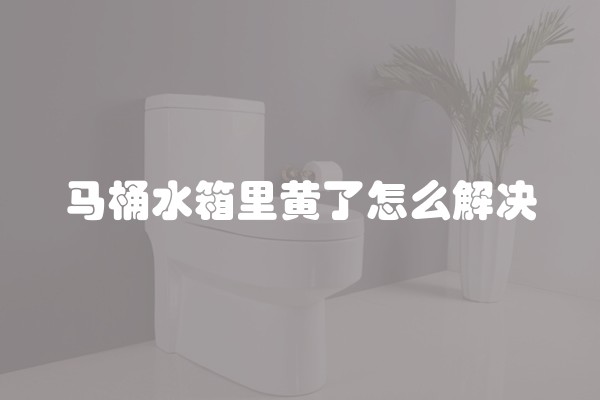 马桶水箱里黄了怎么解决