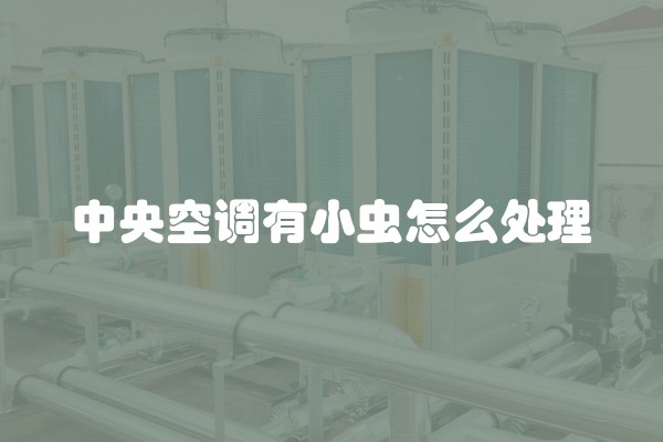 中央空调有小虫怎么处理