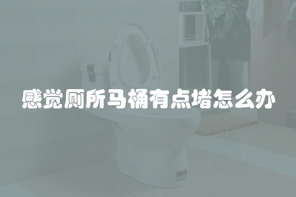 感觉厕所马桶有点堵怎么办