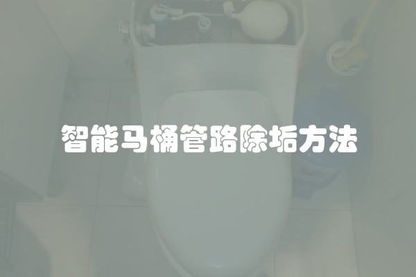 智能马桶管路除垢方法