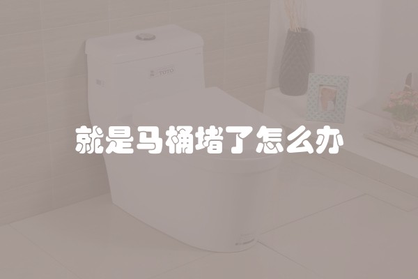 就是马桶堵了怎么办