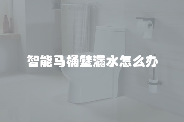 智能马桶壁漏水怎么办