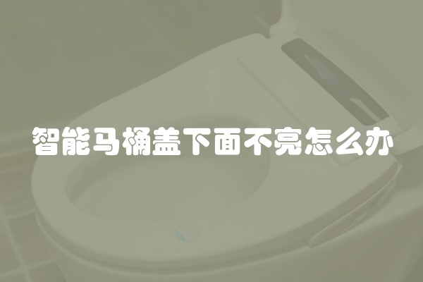 智能马桶盖下面不亮怎么办
