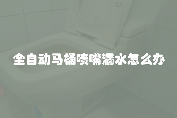 全自动马桶喷嘴漏水怎么办