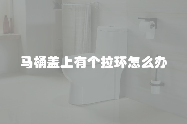 马桶盖上有个拉环怎么办