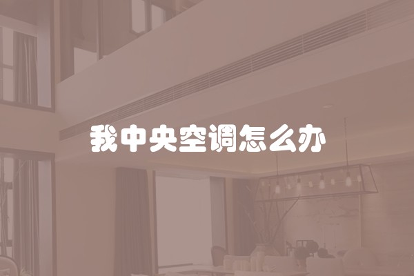 我中央空调怎么办