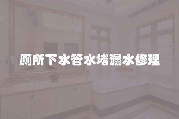 厕所下水管水堵漏水修理