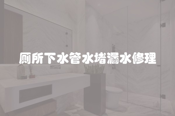 厕所下水管水堵漏水修理
