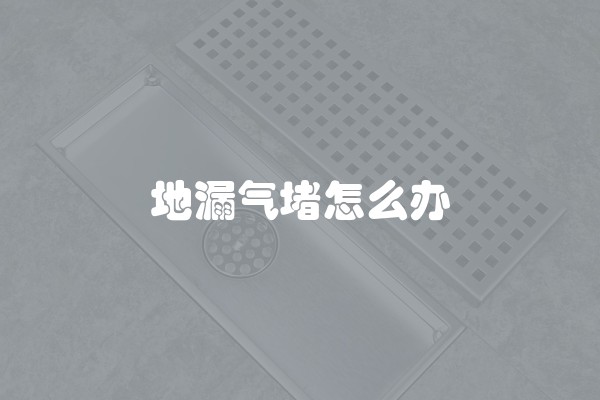 地漏气堵怎么办