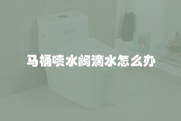 马桶喷水阀滴水怎么办