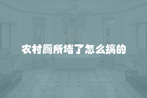 农村厕所堵了怎么搞的