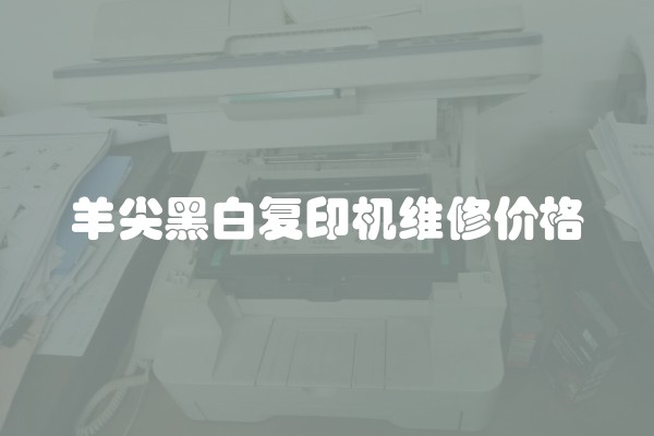 羊尖黑白复印机维修价格