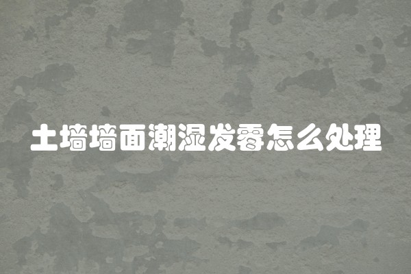 土墙墙面潮湿发霉怎么处理
