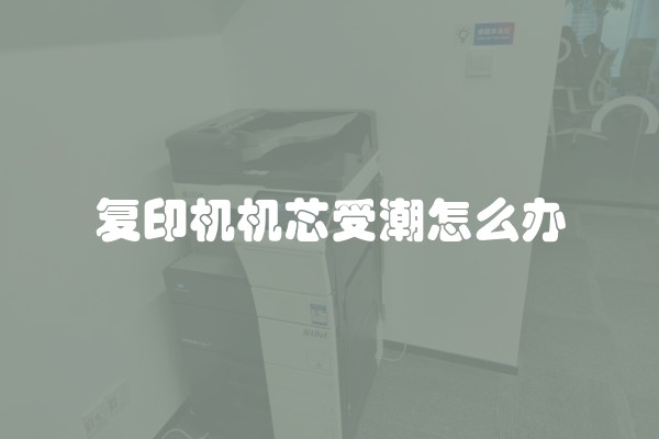 复印机机芯受潮怎么办