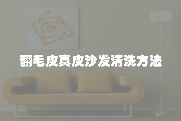 翻毛皮真皮沙发清洗方法