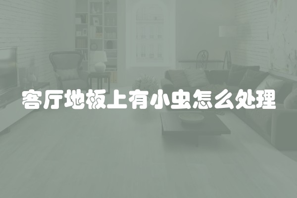 客厅地板上有小虫怎么处理