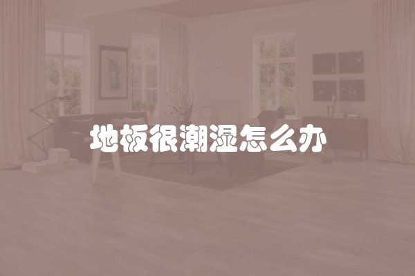 地板很潮湿怎么办