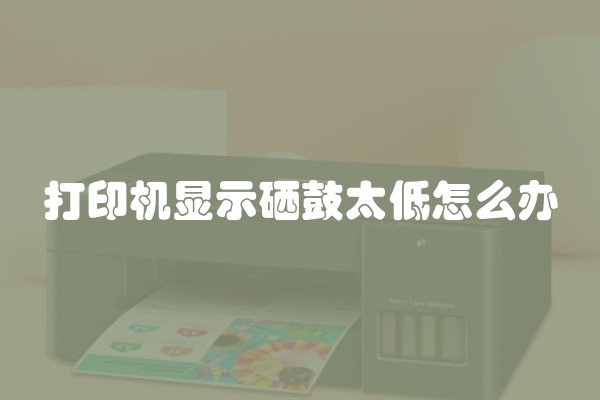 打印机显示硒鼓太低怎么办