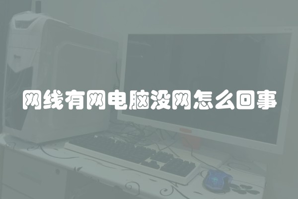 网线有网电脑没网怎么回事
