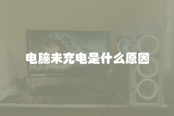 电脑未充电是什么原因