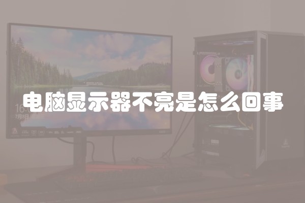 电脑显示器不亮是怎么回事