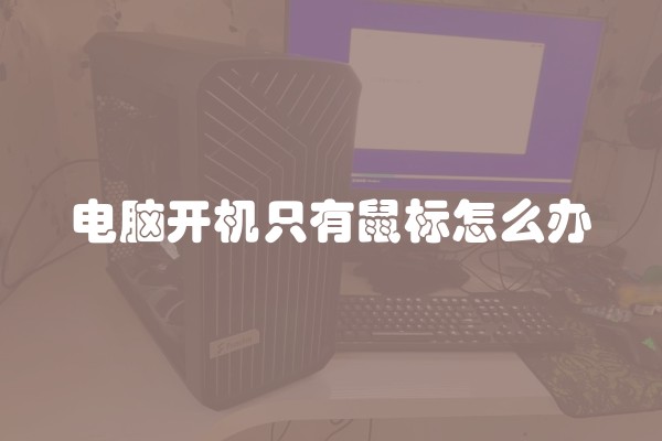 电脑开机只有鼠标怎么办