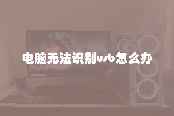 电脑无法识别usb怎么办