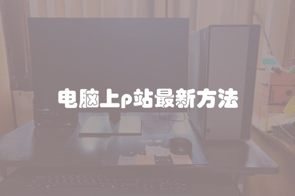 电脑上p站最新方法