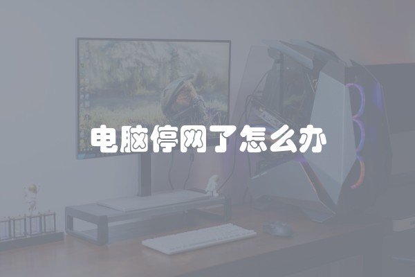 电脑停网了怎么办