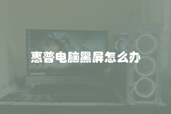 惠普电脑黑屏怎么办