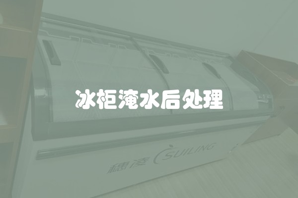 冰柜淹水后处理