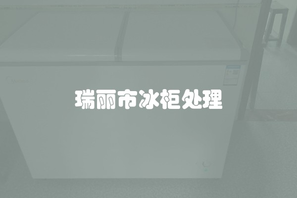 瑞丽市冰柜处理