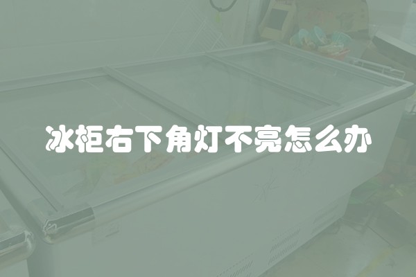 冰柜右下角灯不亮怎么办