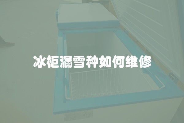 冰柜漏雪种如何维修