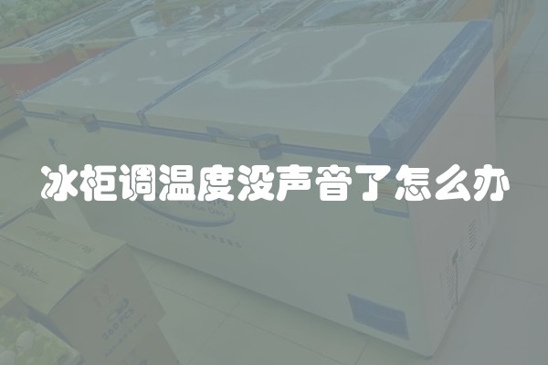 冰柜调温度没声音了怎么办
