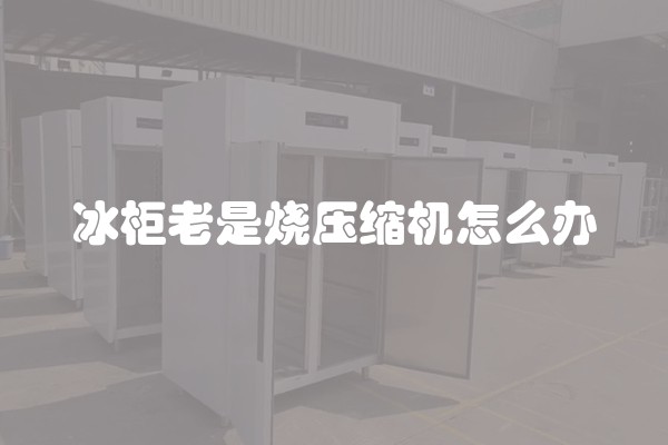 冰柜老是烧压缩机怎么办